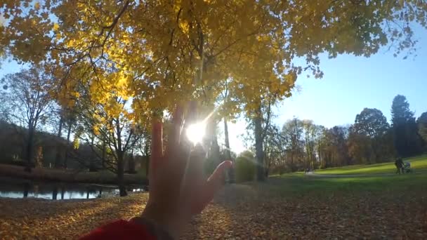 Slow motion Pov van de hand van de mens die het beweegt in de lucht, door de vingers — Stockvideo