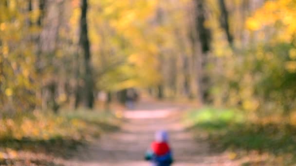 Veel mensen lopen in het park. Onscherpe achtergrond — Stockvideo