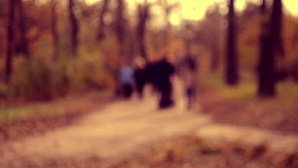 Many people walk in the park. Blurred Background — Stock Video