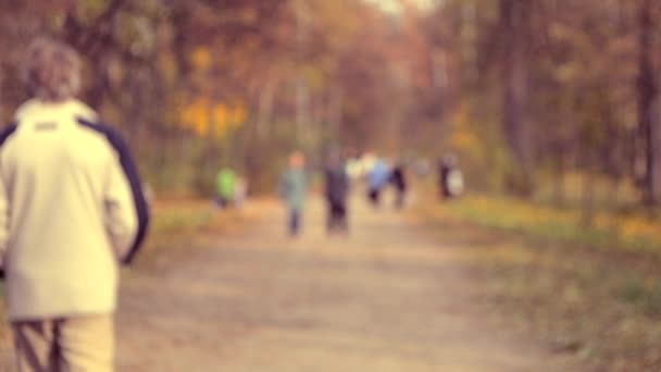 多くの人々 は、公園を歩きます。背景をぼかした写真 — ストック動画