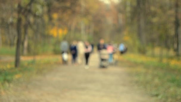 Many people walk in the park. Blurred Background — Stock Video