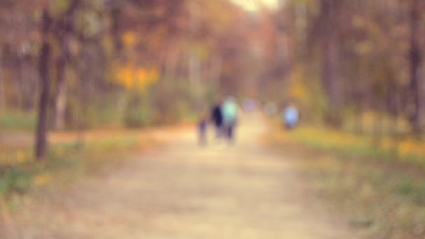 Many people walk in the park. Blurred Background — Stock Video