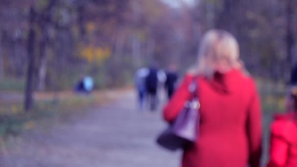 Many people walk in the park. Blurred Background — Stock Video