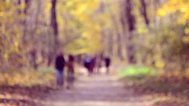 Beaucoup de gens marchent dans le parc. Fond flou — Video