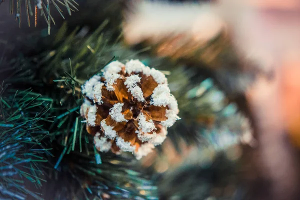 Natürliche Weihnachten Neujahr Spielzeug Tannenzapfen und Weihnachtsbaum Zweig Nahaufnahme — Stockfoto