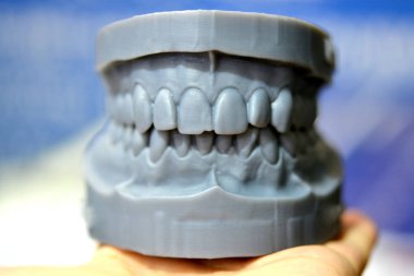 Fotopolimer 'in 3d yazıcısına yazdırılmış bir adamın üst ve alt çenesi.
