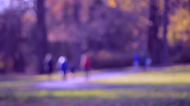 Menschen gehen durch den Park. Menschen gehen langsam entspannt im Wald spazieren — Stockvideo