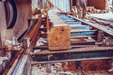 Kereste fabrikası. Yel değirmeninin kola makinesi günlüklerinde işleme işlemi t testereleri