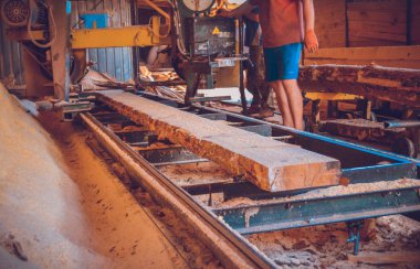 Kereste fabrikası. Yel değirmeninin kola makinesi günlüklerinde işleme işlemi t testereleri