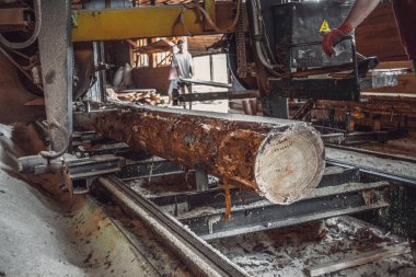 Kereste fabrikası. Yel değirmeninin kola makinesi günlüklerinde işleme işlemi t testereleri