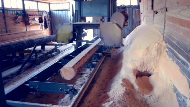 Holz Sägemehl Arbeit Sägen Holz Holzbearbeitung — Stockvideo