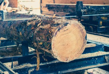 Kereste fabrikası. Yel değirmeninin kola makinesi günlüklerinde işleme işlemi t testereleri