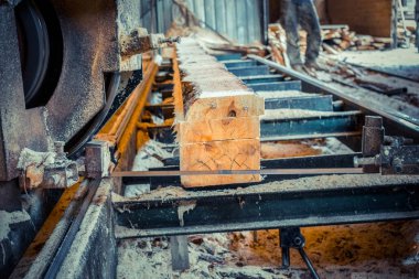 Kereste fabrikası. Yel değirmeninin kola makinesi günlüklerinde işleme işlemi t testereleri