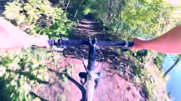 Cyclisme personne sur vélo balade forêt verte — Video