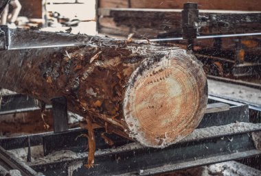 Kereste fabrikası. Yel değirmeninin kola makinesi günlüklerinde işleme işlemi t testereleri