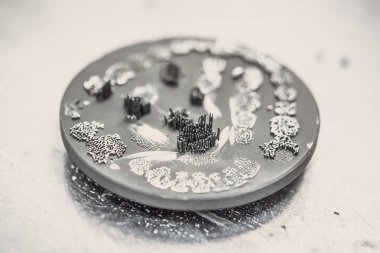 Disk kesim diş diş kron 3d yazıcı için oluşturulan sonra