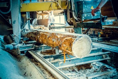 Kereste fabrikası. Yel değirmeninin kola makinesi günlüklerinde işleme işlemi t testereleri