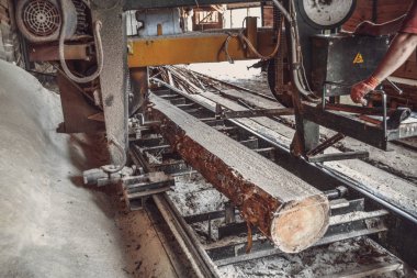 Kereste fabrikası. Yel değirmeninin kola makinesi günlüklerinde işleme işlemi t testereleri