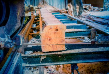 Kereste fabrikası. Yel değirmeninin kola makinesi günlüklerinde işleme işlemi t testereleri