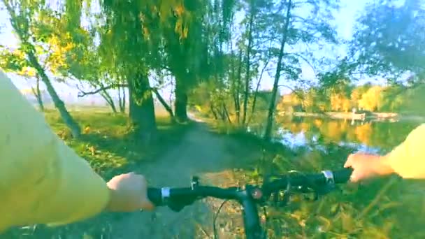 在森林灌丛一条狭窄小道上骑自行车. — 图库视频影像
