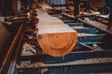 Kereste fabrikası. Yel değirmeninin kola makinesi günlüklerinde işleme işlemi t testereleri