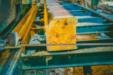 Kereste fabrikası. Yel değirmeninin kola makinesi günlüklerinde işleme işlemi t testereleri