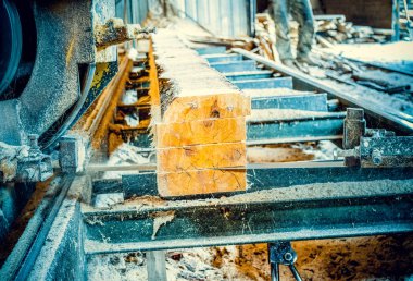 Kereste fabrikası. Yel değirmeninin kola makinesi günlüklerinde işleme işlemi t testereleri