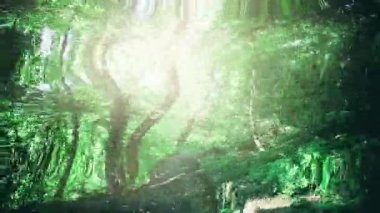 Yansıyan ışık parlama yama ile yapraklı yeşil Orman yolundaki