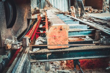 Bıçkıhane. bıçkıhane makinesindeki makine kayıtları ağaç gövdesini testereyle keser