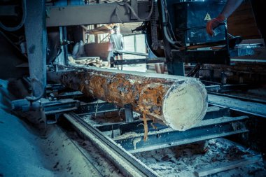 Bıçkıhane. bıçkıhane makinesindeki makine kayıtları ağaç gövdesini testereyle keser