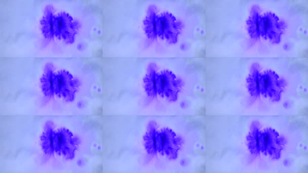 Hermosa difusión de gotas de tinta púrpura en la superficie lisa húmeda blanca — Vídeos de Stock