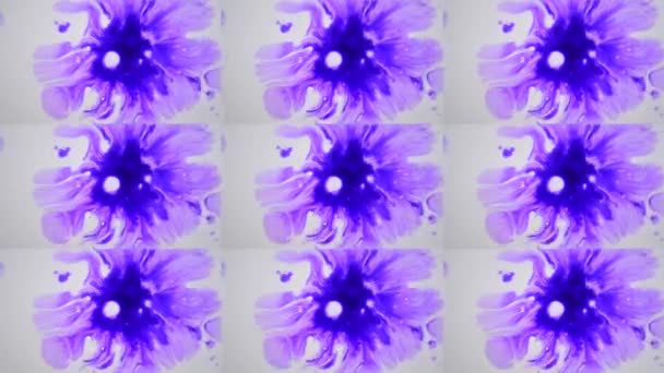Hermosa difusión de gotas de tinta púrpura en la superficie lisa húmeda blanca . — Vídeos de Stock