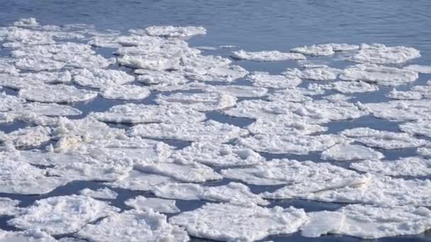 Nieve flotan en la superficie del río — Vídeos de Stock