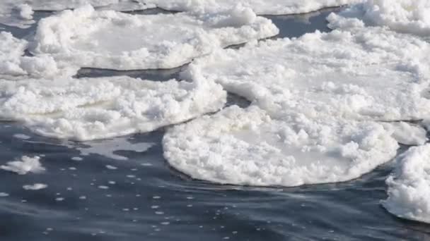Nieve flotan en la superficie del río — Vídeos de Stock