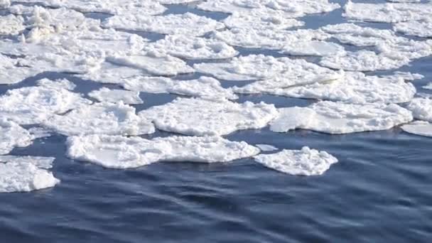 Nieve flotan en la superficie del río — Vídeos de Stock