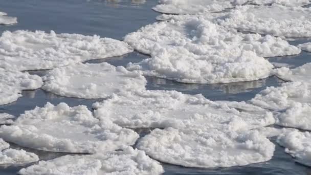 Sneeuw drijven op het oppervlak van de rivier — Stockvideo