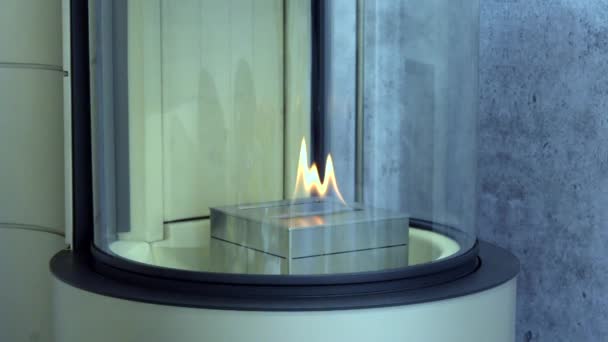 Modern bio fireplot fireplace on ethanol gas. — Stock Video