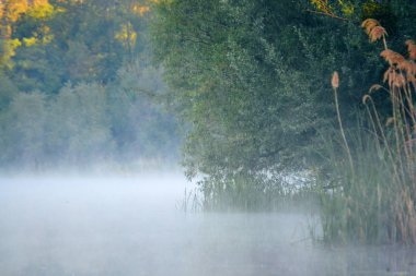 Sabah sis su üzerinde