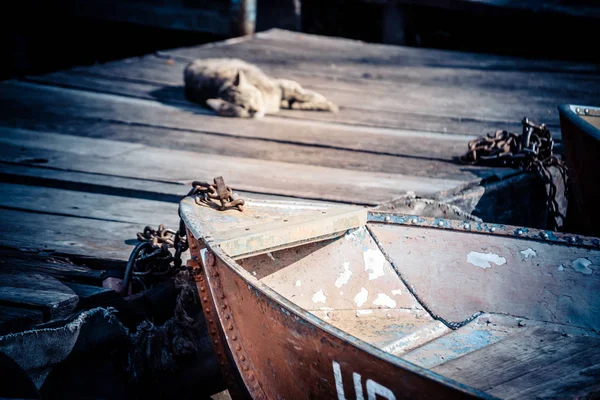 Old iron frayed and shabby boat noses tied to wooden dock and cat — Stock Photo, Image