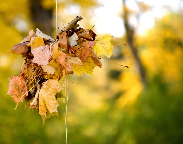 Bainha de folhas de outono — Fotografia de Stock