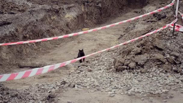 Puits creusé la paperasse protectrice — Video