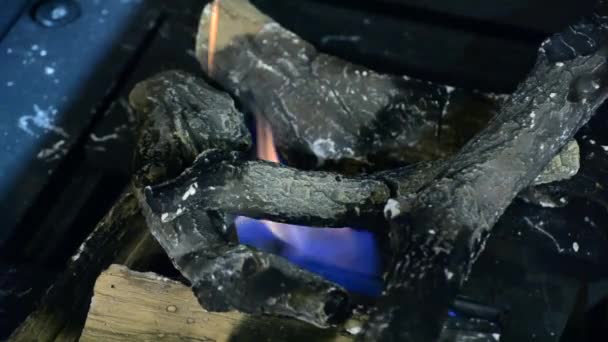 Biospis och värmebeständigt keramiskt vedträ — Stockvideo