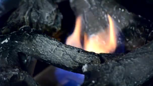 Biofireplace and heat-resistant ceramic firewood — Stock Video