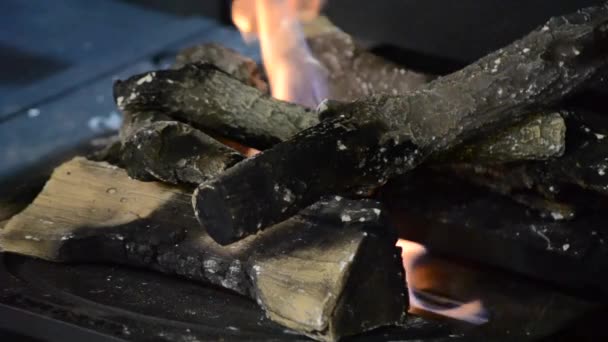 Biofireplace and heat-resistant ceramic firewood — Stock Video