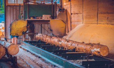 Bıçkıhane. bıçkıhane makinesindeki makine kayıtları ağaç gövdesini testereyle keser