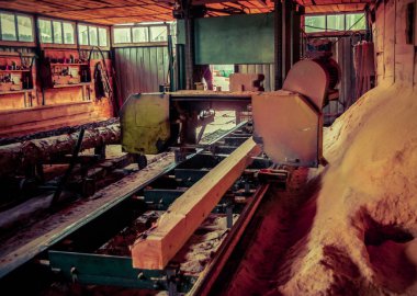 Bıçkıhane. bıçkıhane makinesindeki makine kayıtları ağaç gövdesini testereyle keser