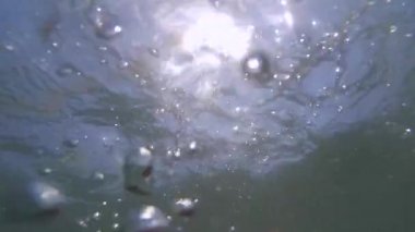 Su dalış ve ortaya insan cadı Pov.