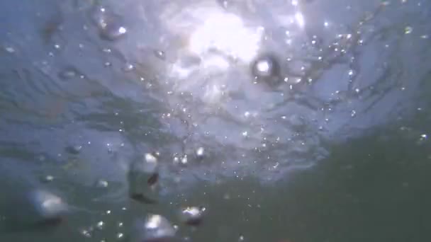 水のダイビングで人間の魔女のポブと出現. — ストック動画