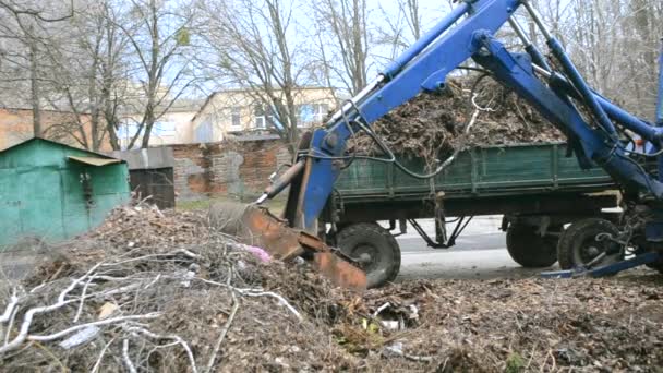 Очистка сухих ветвей и травы на улицах города — стоковое видео