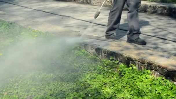Água de pressão de limpeza de rua — Vídeo de Stock